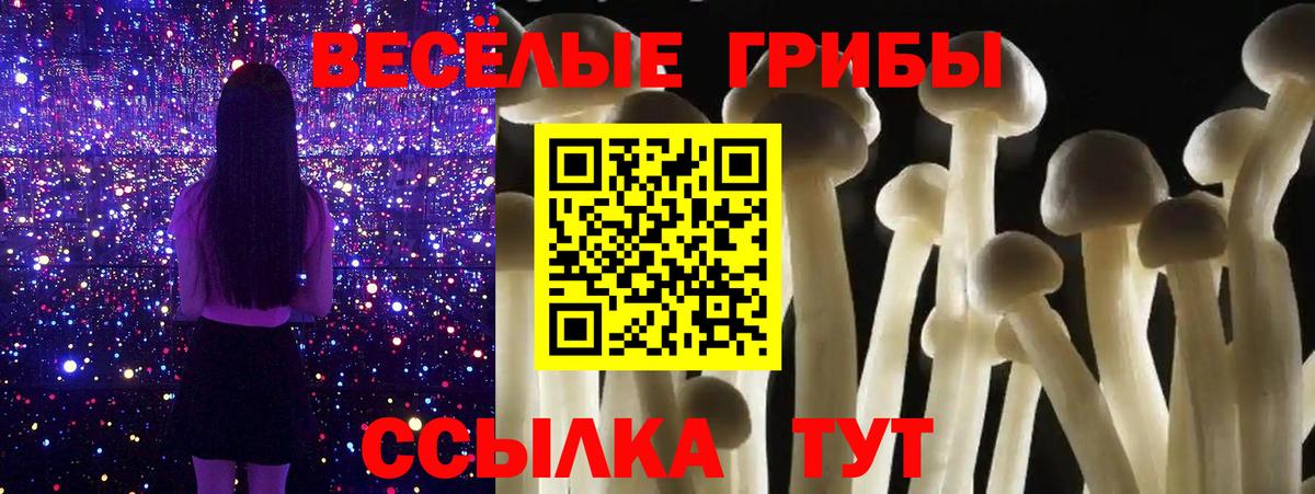 Галлюциногенные грибы прущие грибы Дятьково