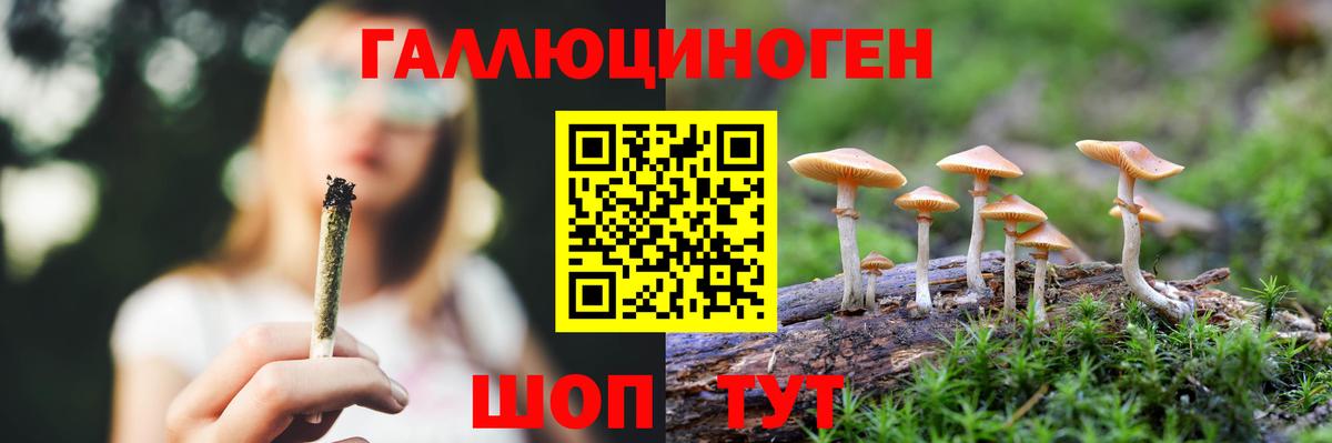 Дятьково  Галлюциногенные грибы прущие грибы  Вход с VPN 